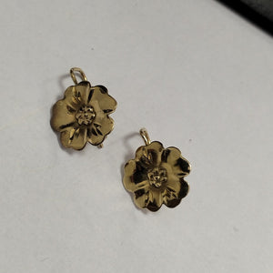 ARETES PAR ORO 10 K 1.8 GRMS (SEMINUEVO)