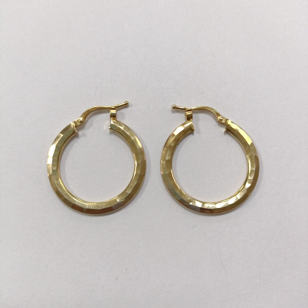 ARRACADAS PAR ORO 10 K 1,70 GRMS (SEMINUEVO)
