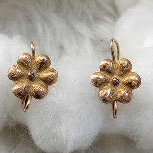 ARETES PAR ORO 10 K 1 GRMS (SEMINUEVO)