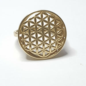 ANILLITO ORO 14 K 2.8 GRMS (SEMINUEVO)