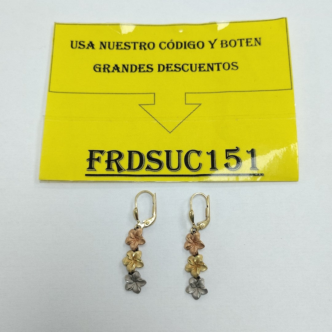 ARETES PAR ORO 14 K 3.1 GRMS (SEMINUEVO)