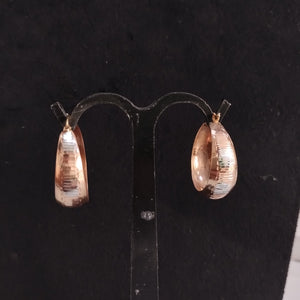 ARETES PAR ORO 10 K 3,40 GRMS (SEMINUEVO)