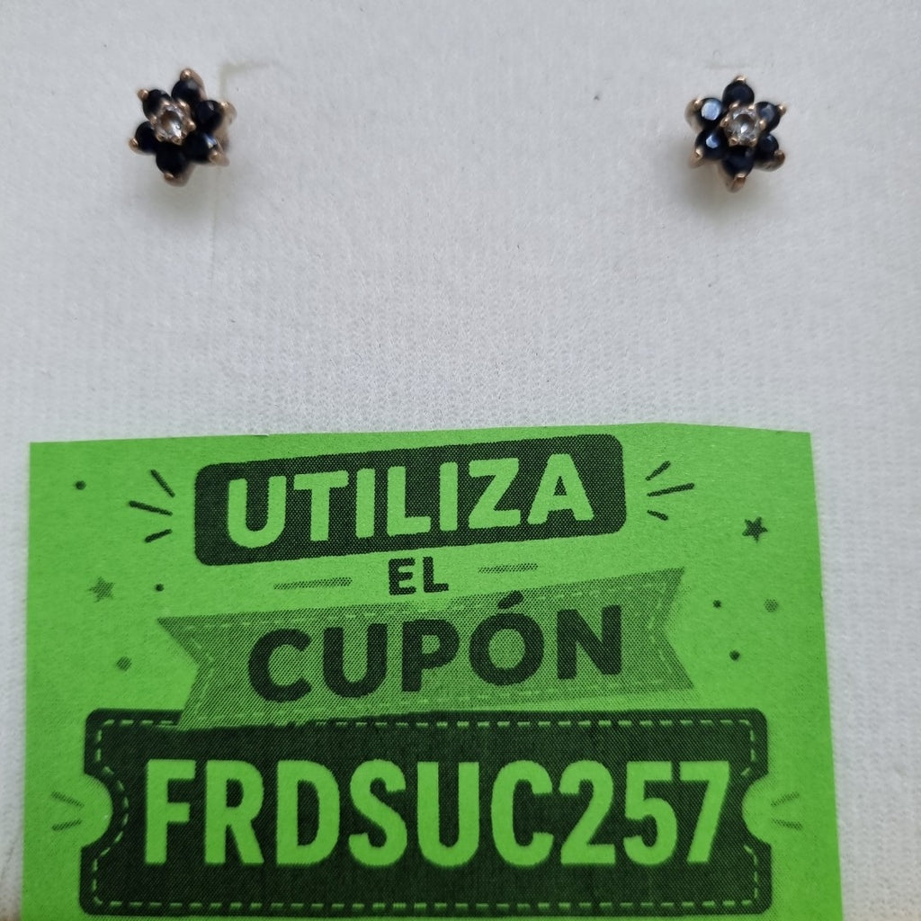 BROQUELES PAR ORO 10 K 2 GRMS (SEMINUEVO)