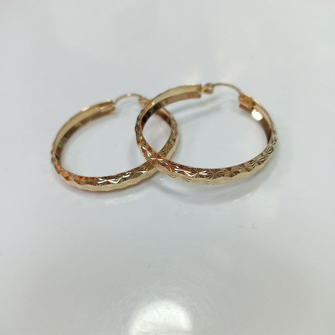 ARRACADAS PAR ORO 10 K 3.5 GRMS (SEMINUEVO)