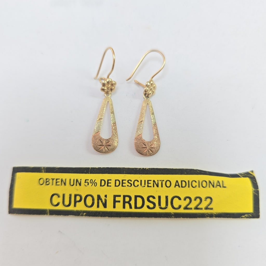ARETES PAR ORO 10 K 1.1 GRMS (SEMINUEVO)