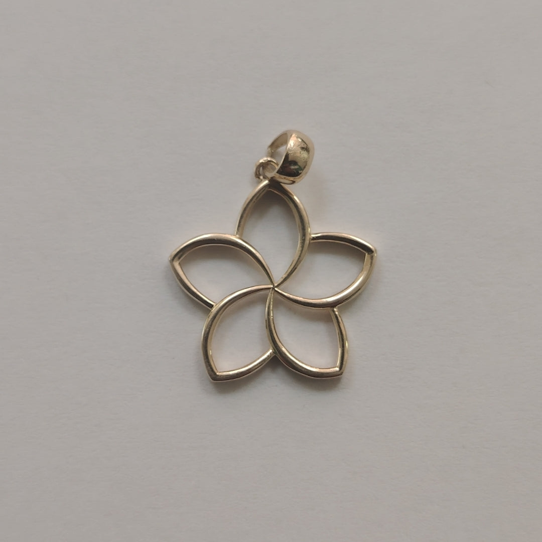 DIJES ORO 14K 1.7 (NUEVO)