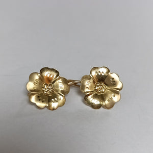 ARETES PAR ORO 10 K 1.7 GRMS (SEMINUEVO)