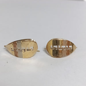 ARETES PAR ORO 10 K 1.9 GRMS (SEMINUEVO)