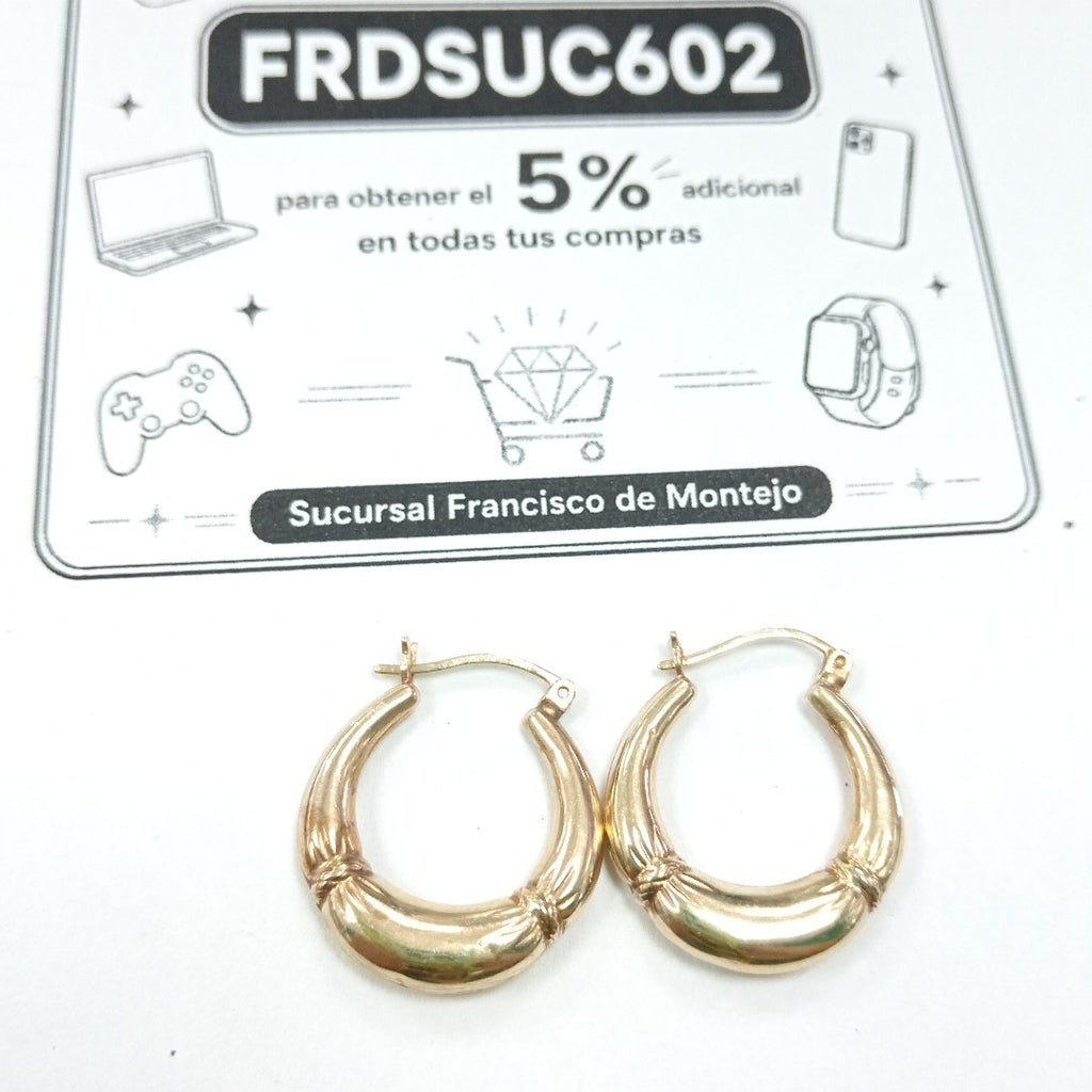 ARRACADAS PAR ORO 10 K 2.5 GRMS (SEMINUEVO)