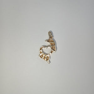 DIJES ORO 14K 1.1 (NUEVO)