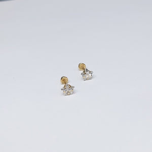 BROQUELES PAR ORO 10 K 0.6 GRMS (SEMINUEVO)