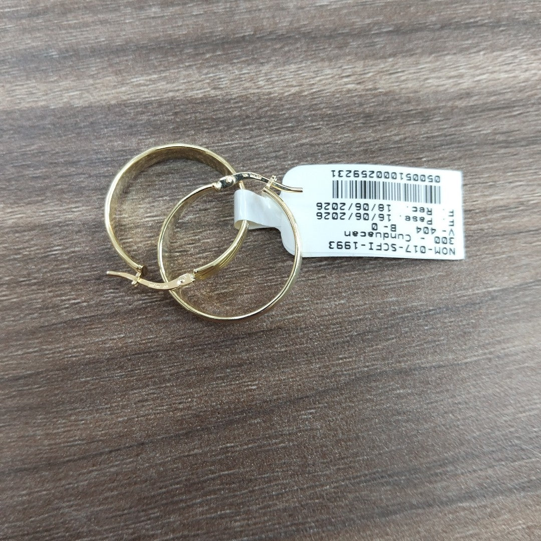 ARRACADAS ORO 10K 2 (NUEVO)