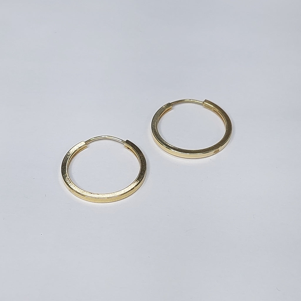 ARRACADAS PAR ORO 14 K 2 GRMS (SEMINUEVO)