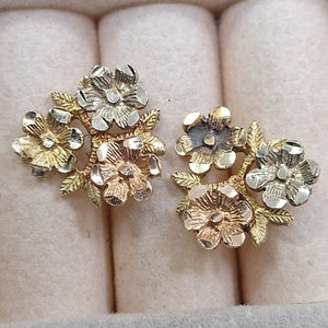 ARETES PAR ORO 10 K 2,90 GRMS (SEMINUEVO)