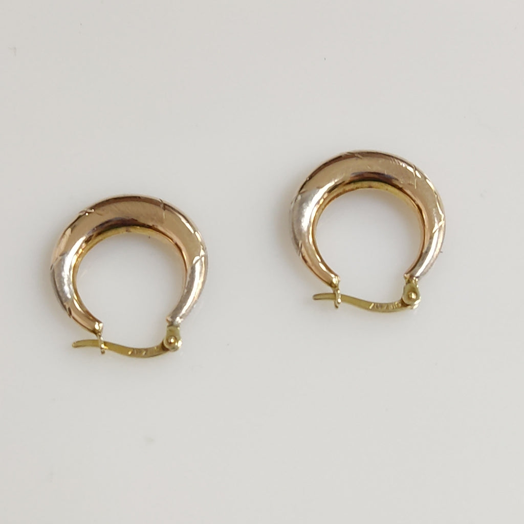ARETES PAR ORO 10 K 1.4 GRMS (SEMINUEVO)