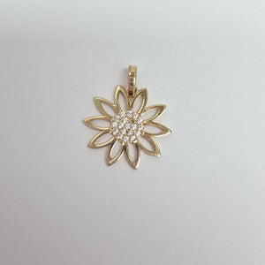 DIJES ORO 14K 1.1 (NUEVO)