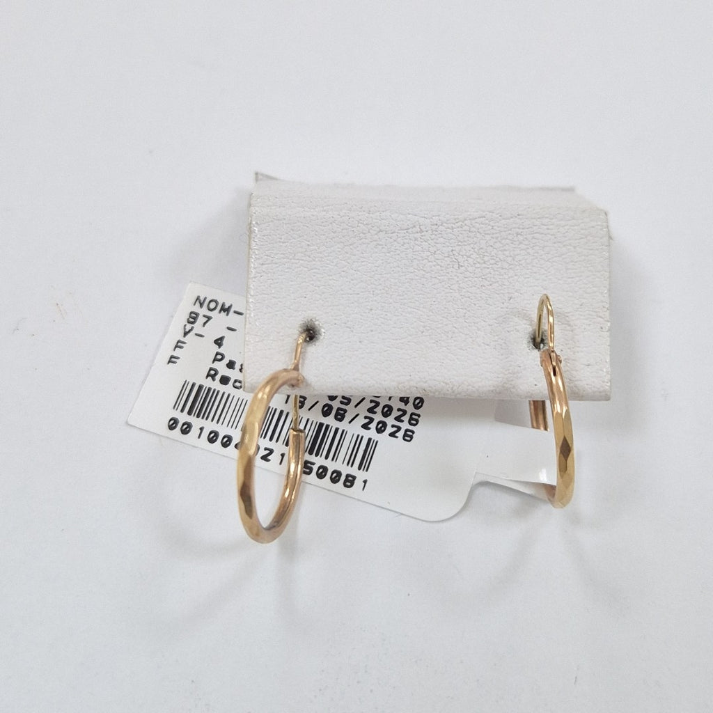 ARRACADAS PAR ORO 10 K 0.7 GRMS (SEMINUEVO)