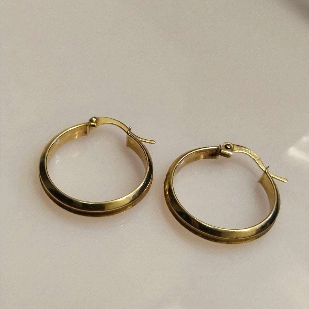 ARRACADAS PAR ORO 10 K 2,00 GRMS (SEMINUEVO)
