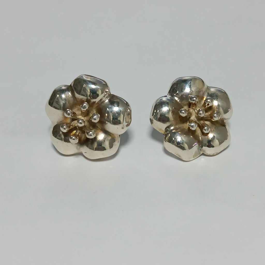 ARETES PAR PLATA 11.8 GRMS (SEMINUEVO)