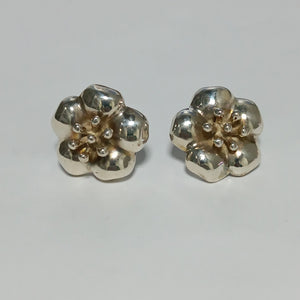 ARETES PAR PLATA 11.8 GRMS (SEMINUEVO)