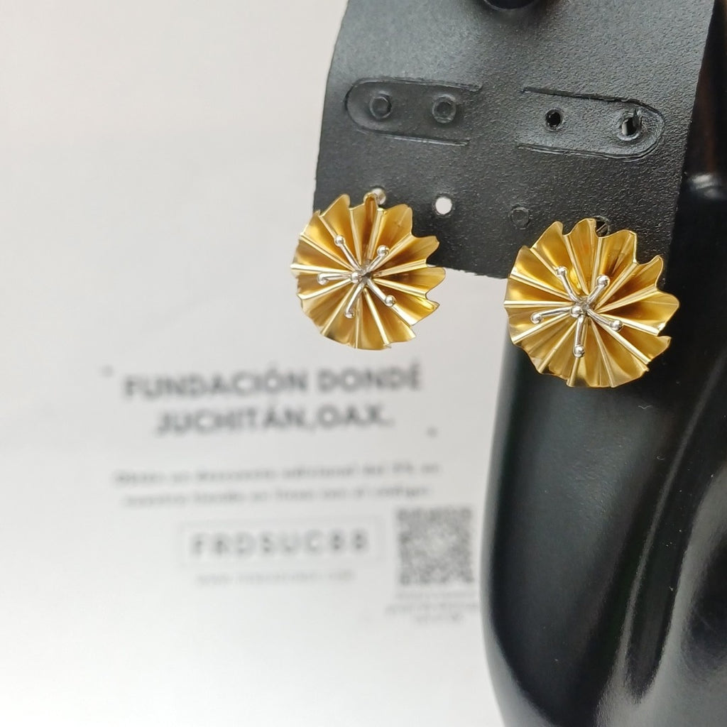 ARETES PAR ORO 14 K 5.3 GRMS (SEMINUEVO)
