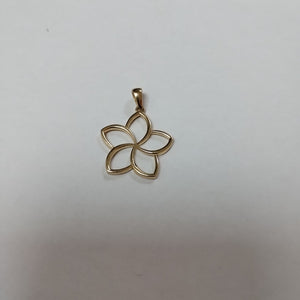 DIJES ORO 14K 1.7 (NUEVO)
