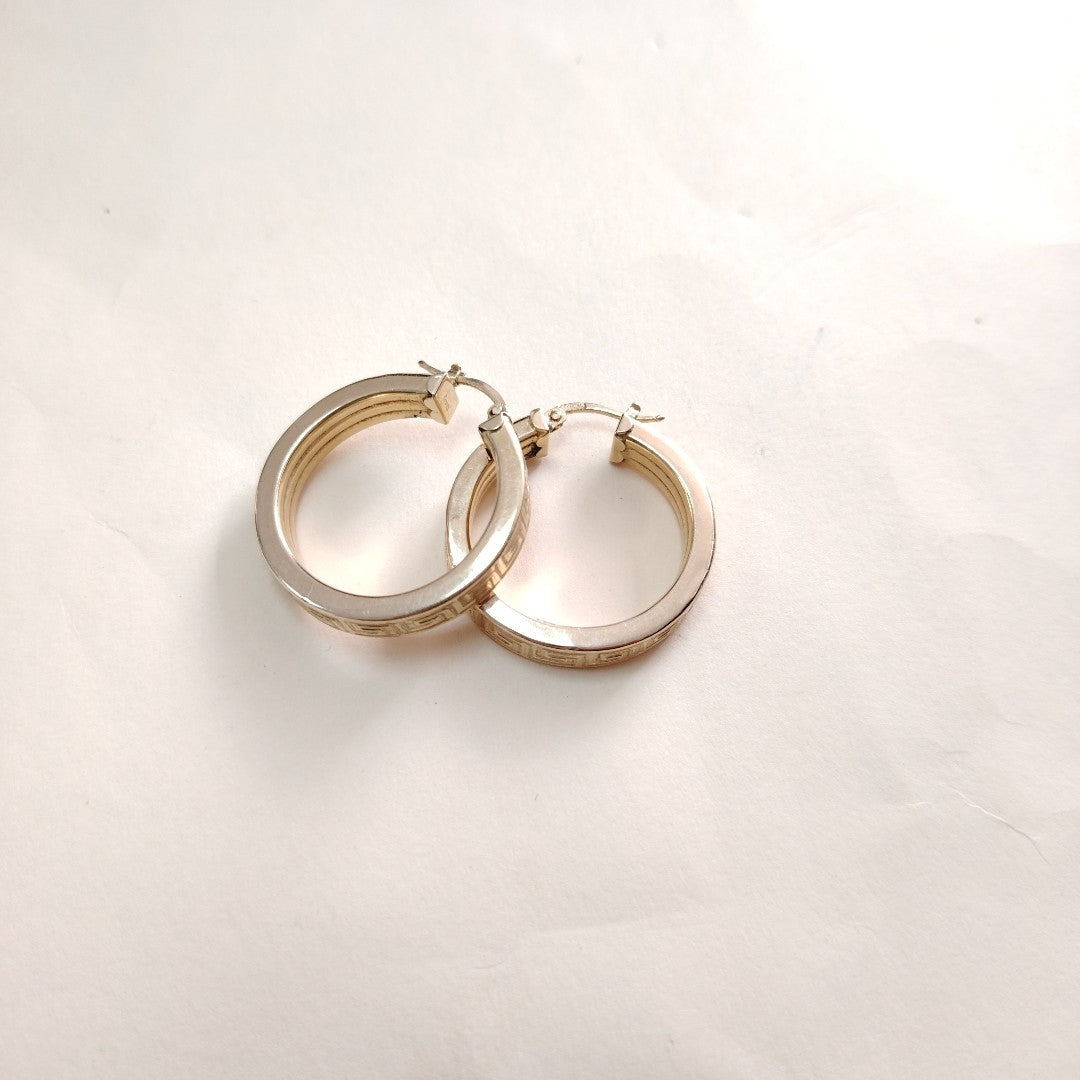 ARRACADAS PAR ORO 14 K 6,70 GRMS (SEMINUEVO)