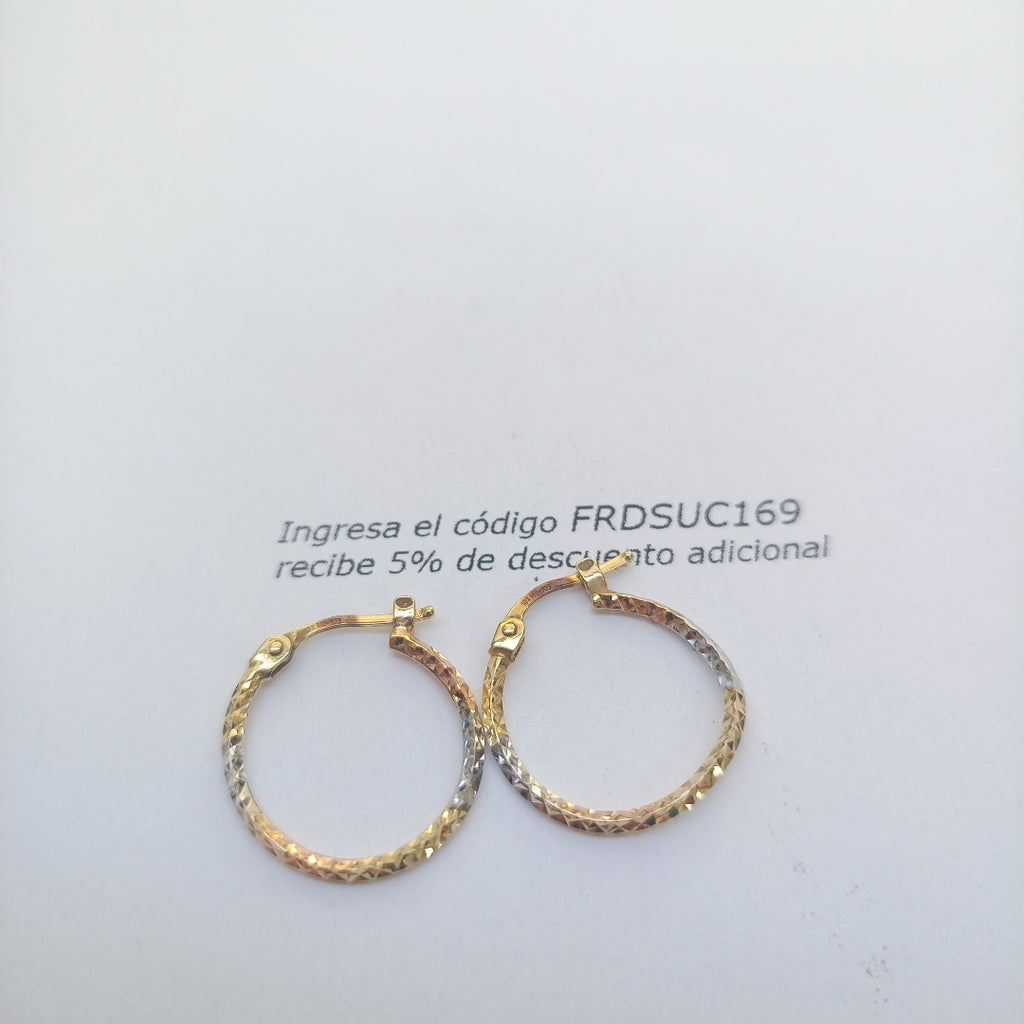 ARRACADAS PAR ORO 10 K 0,90 GRMS (SEMINUEVO)