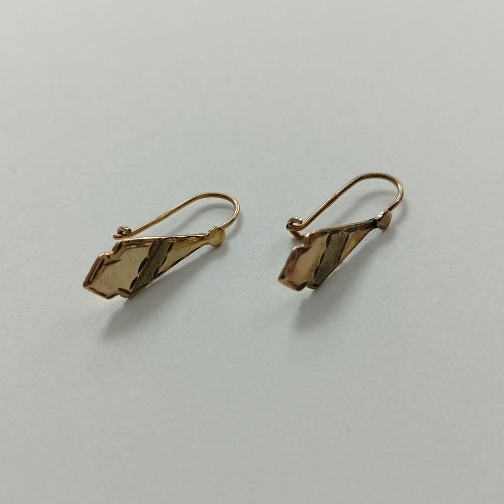 ARETES PAR ORO 10 K 1 GRMS (SEMINUEVO)