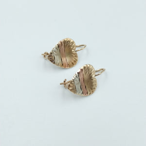 ARETES PAR ORO 10 K 1,90 GRMS (SEMINUEVO)