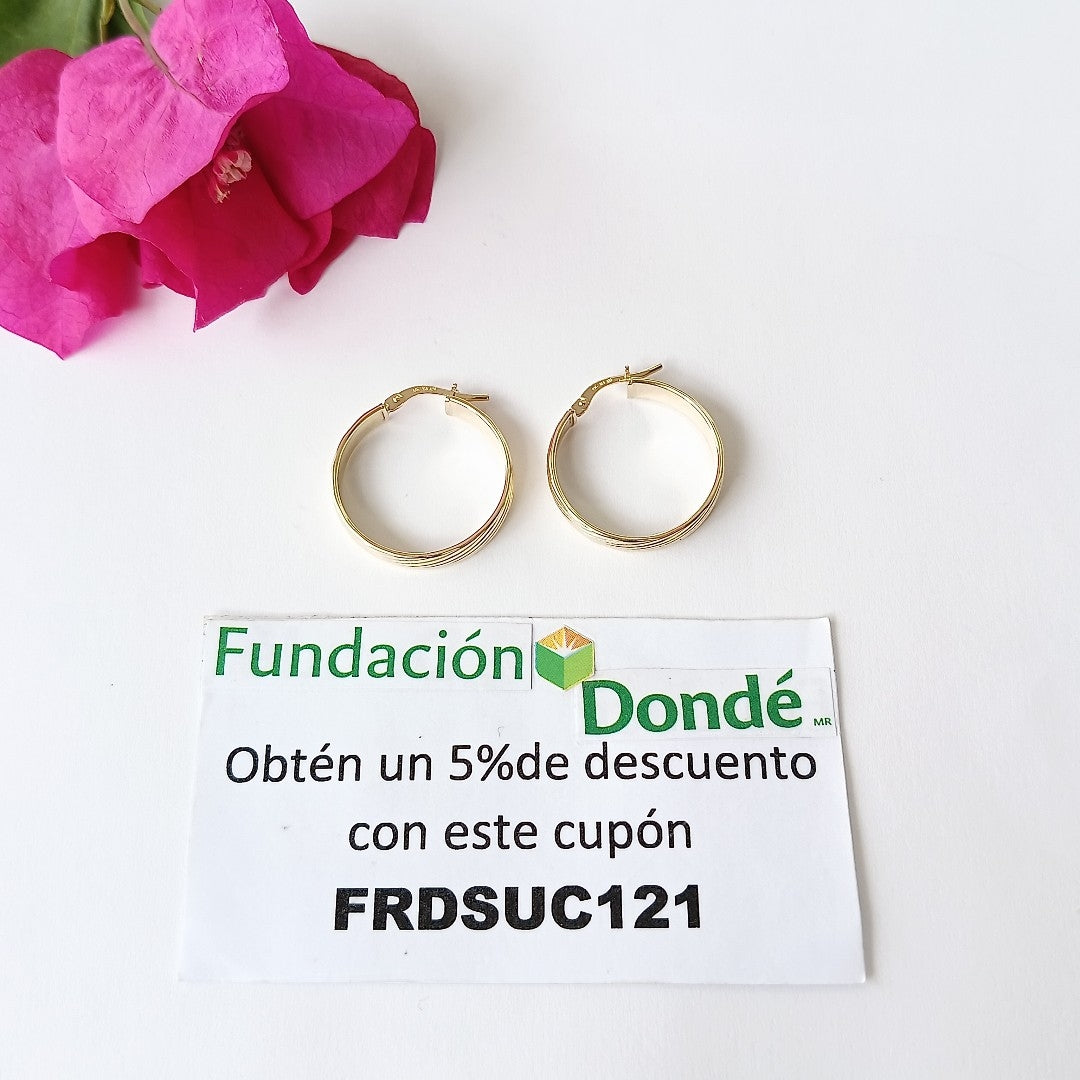 ARRACADAS ORO 10K 2 (NUEVO)