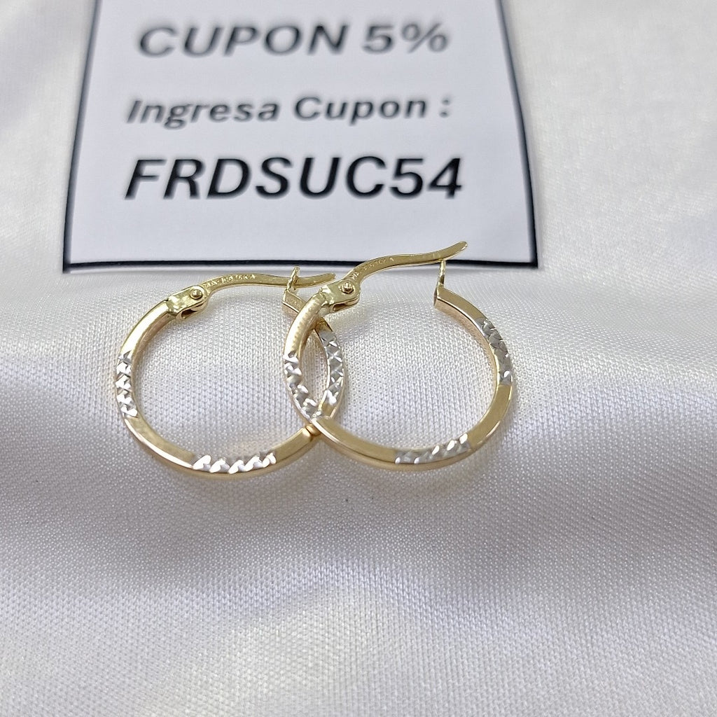 ARRACADAS ORO 14K 1 (NUEVO)
