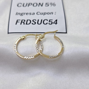 ARRACADAS ORO 14K 1 (NUEVO)