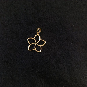 DIJES ORO 14K 1.7 (NUEVO)