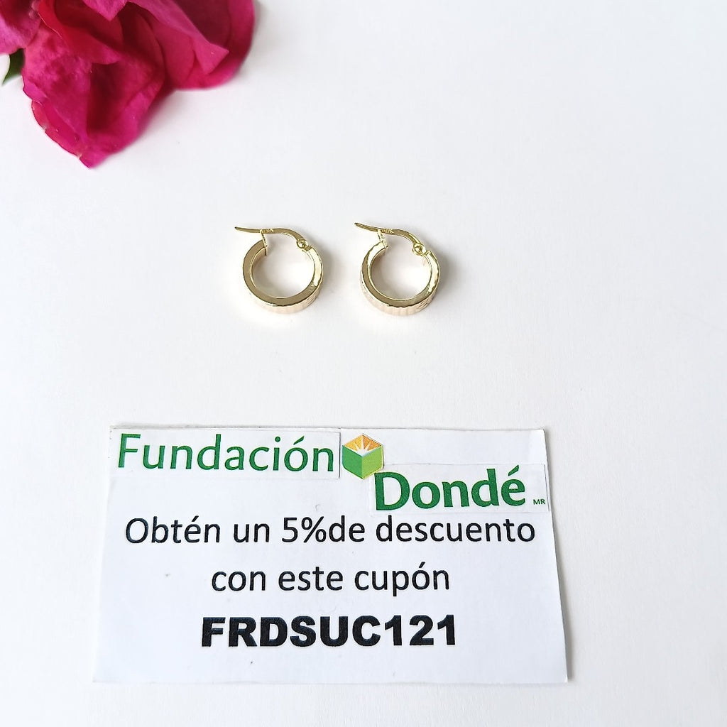 ARRACADAS ORO 10K 1.3 (NUEVO)