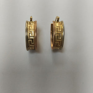 ARETES PAR ORO,ORO COMBINADO 14 K 4,20 GRMS (SEMINUEVO)