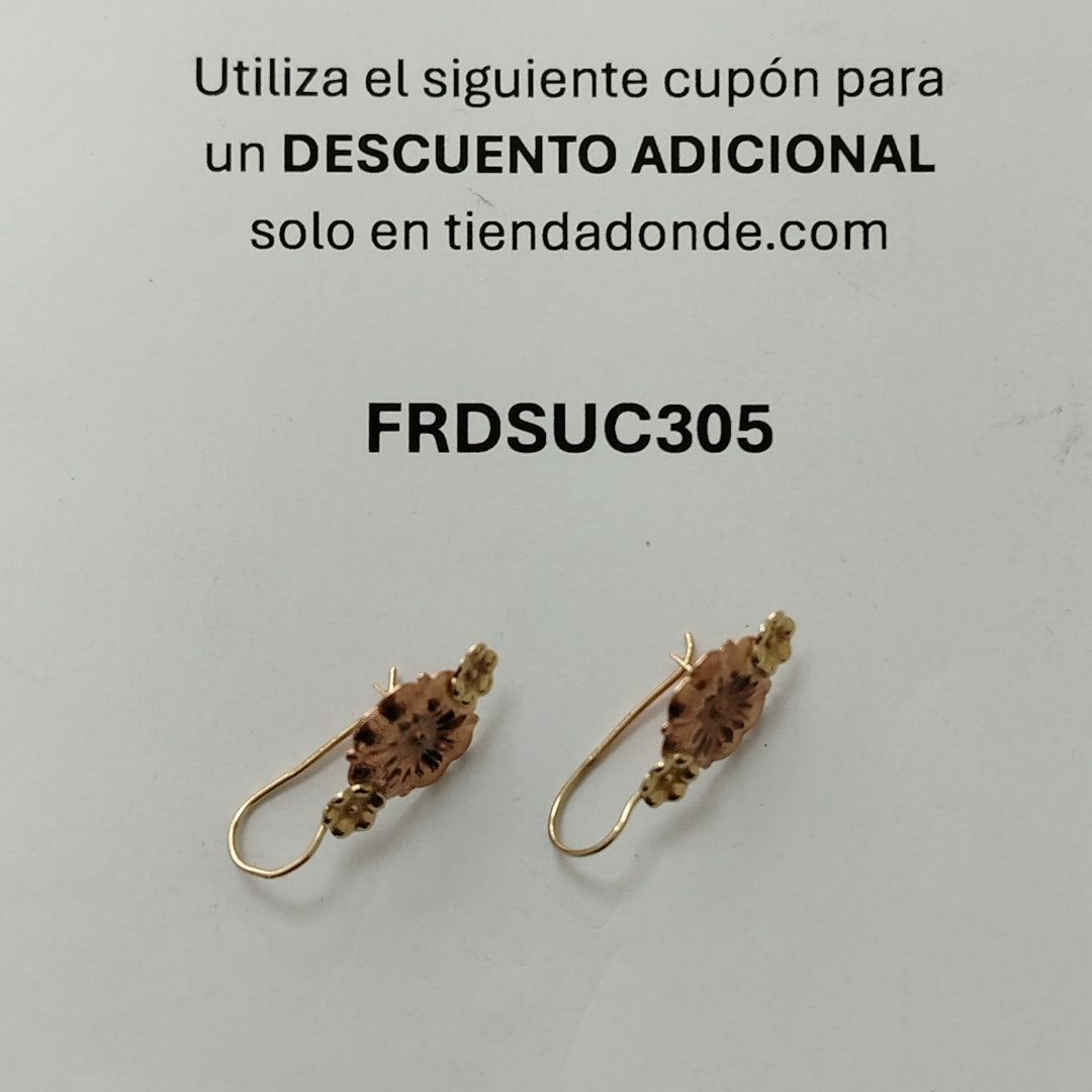 ARETES PAR ORO 10 K 1.6 GRMS (SEMINUEVO)