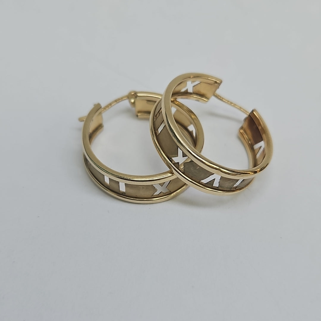 ARRACADAS PAR ORO 14 K 2,80 GRMS (SEMINUEVO)