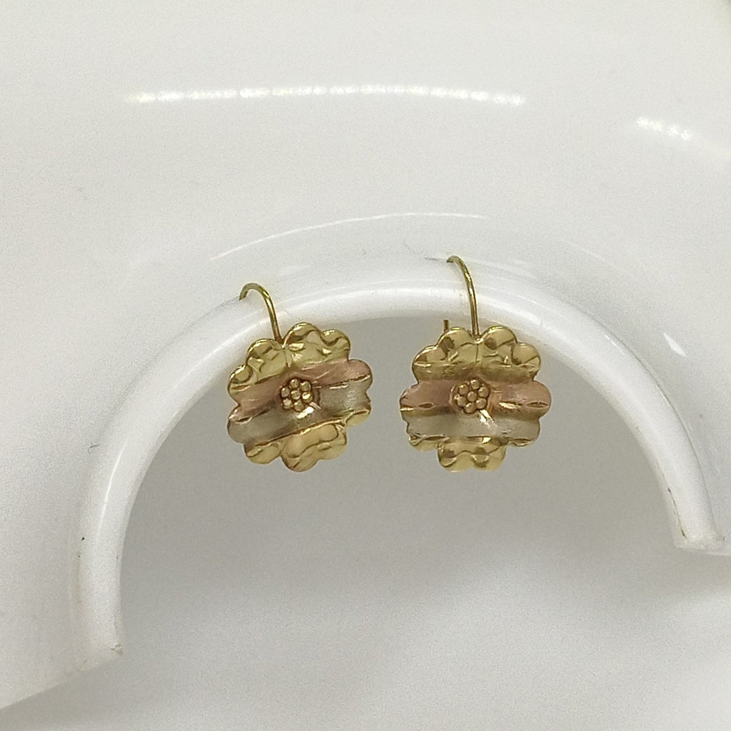 ARETES PAR ORO 10 K 1,20 GRMS (SEMINUEVO)