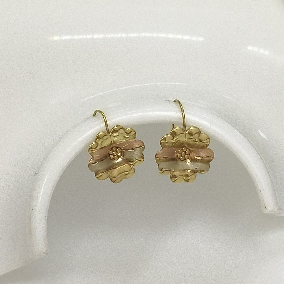 ARETES PAR ORO 10 K 1,20 GRMS (SEMINUEVO)