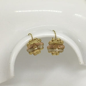 ARETES PAR ORO 10 K 1,20 GRMS (SEMINUEVO)