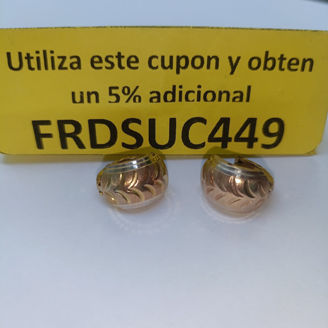ARETES PAR ORO 10 K 2.7 GRMS (SEMINUEVO)