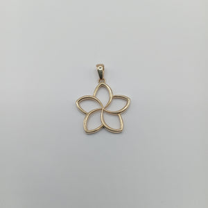 DIJES ORO 14K 1.7 (NUEVO)
