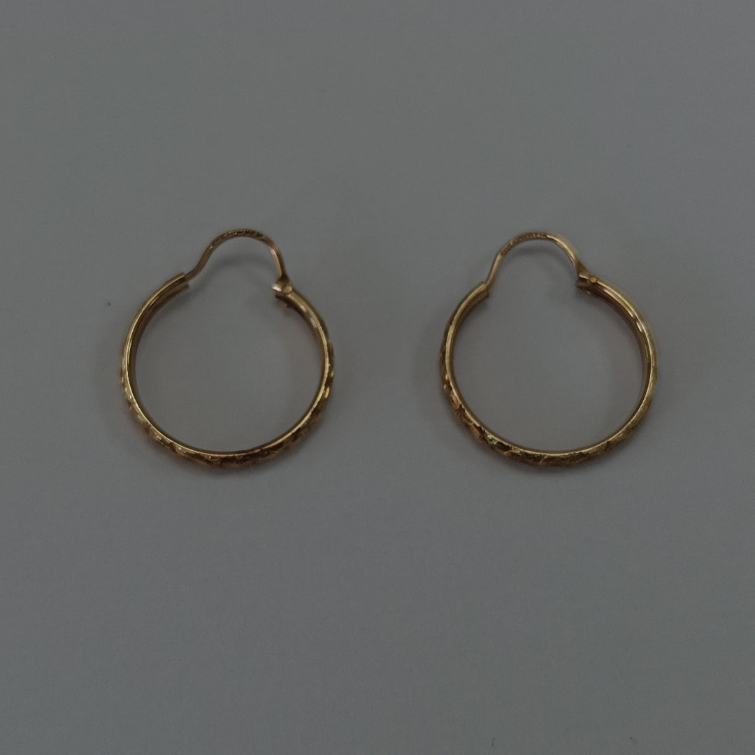 ARETES PAR ORO 10 K 1.4 GRMS (SEMINUEVO)