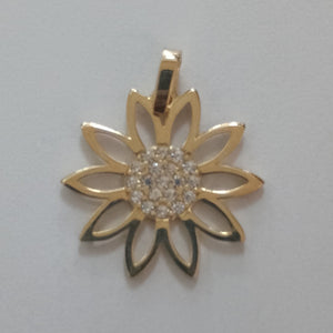 DIJES ORO 14K 0.9 (NUEVO)
