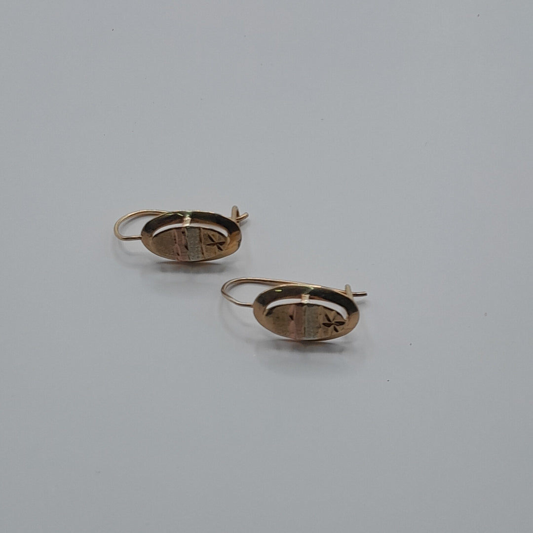 ARETES PAR ORO 10 K 1.4 GRMS (SEMINUEVO)