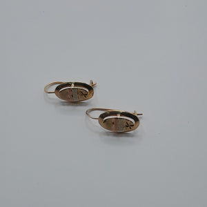 ARETES PAR ORO 10 K 1.4 GRMS (SEMINUEVO)