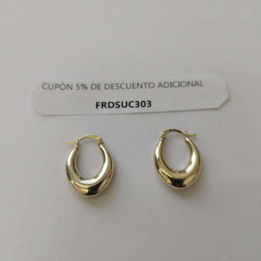ARRACADAS ORO 10K 2 (NUEVO)