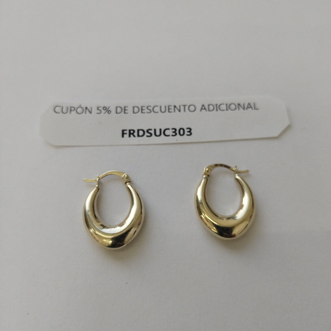 ARRACADAS ORO 10K 2 (NUEVO)