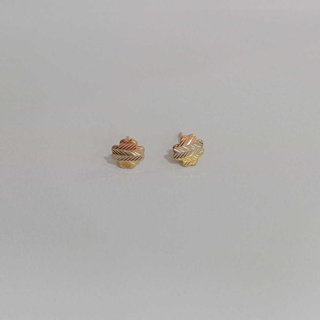 ARETES PAR ORO 14 K 1.2 GRMS (SEMINUEVO)
